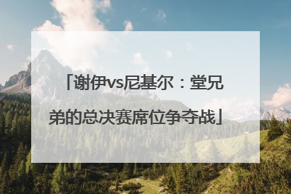 谢伊vs尼基尔：堂兄弟的总决赛席位争夺战